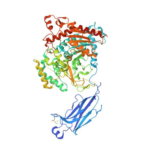 Rcsb Pdb 1cjy Human Cytosolic Phospholipase A2