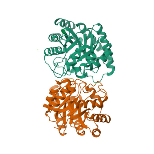 Rcsb Pdb 7cj5 Crystal Structure Of Homo Dimeric D Allulose 3 Epimerase From Methylomonas Sp In Complex With D Fructose