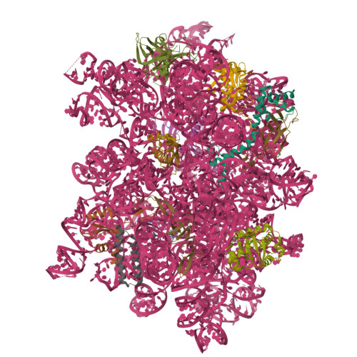 9CL9 assembly