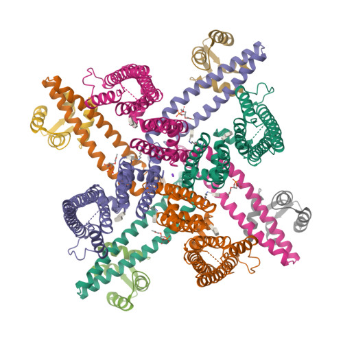 Rcsb Pdb 6cnm Cryo Em Structure Of The Human Sk4 Calmodulin Channel Complex