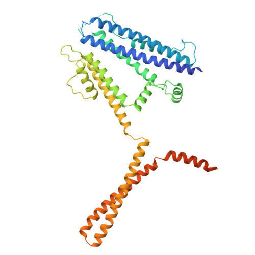 Rcsb Pdb 6cnm Cryo Em Structure Of The Human Sk4 Calmodulin Channel Complex