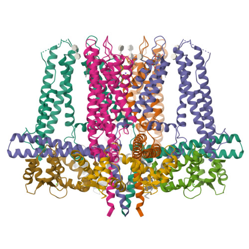 Rcsb Pdb 6cnn Cryo Em Structure Of The Human Sk4 Calmodulin Channel Complex In The Ca2 Bound State I