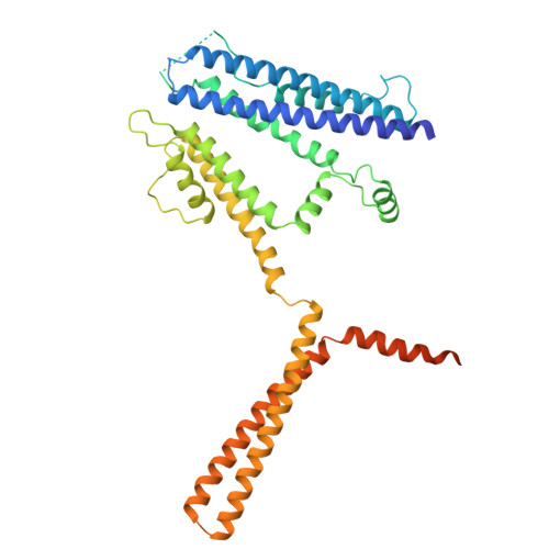 Rcsb Pdb 6cnn Cryo Em Structure Of The Human Sk4 Calmodulin Channel Complex In The Ca2 Bound State I