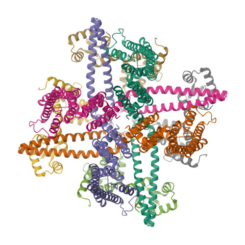 Rcsb Pdb 6cno Cryo Em Structure Of The Human Sk4 Calmodulin Channel Complex In The Ca2 Bound State Ii