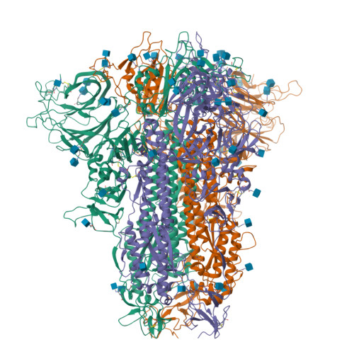 Rcsb Pdb 7cn4 Cryo Em Structure Of Bat Ratg13 Spike Glycoprotein