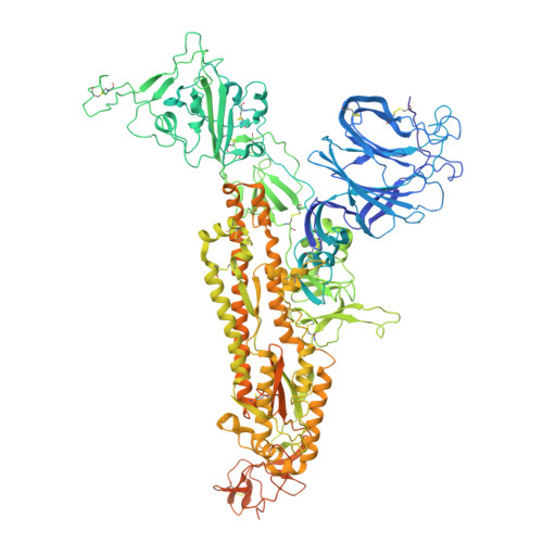 Rcsb Pdb 7cn4 Cryo Em Structure Of Bat Ratg13 Spike Glycoprotein