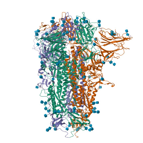 Rcsb Pdb 7cn8 Cryo Em Structure Of Pcov Gx Spike Glycoprotein