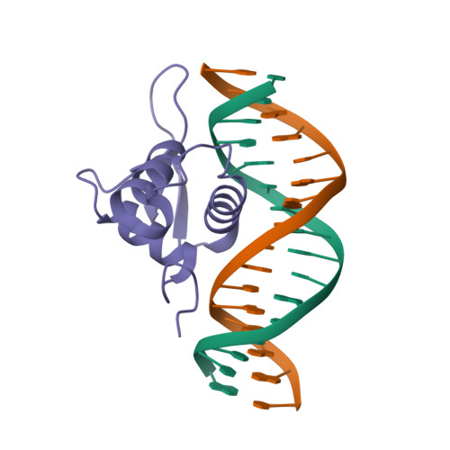 Rcsb Pdb 3co7 Crystal Structure Of Foxo1 Dbd Bound To Dbe2 Dna