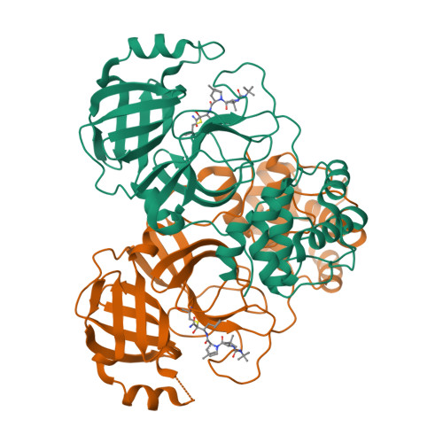 Rcsb Pdb 7com Crystal Structure Of The Sars Cov 2 Main Protease In Complex With Boceprevir Space Group P212121