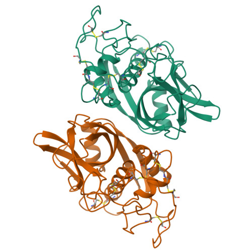 RCSB PDB - 1CPJ: CRYSTAL STRUCTURES OF RECOMBINANT RAT CATHEPSIN B AND ...