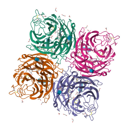 Rcsb Pdb 4cpy Structure Of The Neuraminidase From The B Lyon Chu 15 216 11 Virus In Complex With Oseltamivir