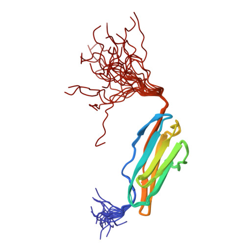 Rcsb Pdb 2cqv Solution Structure Of The Eighth Ig Like Domain Of Human Myosin Light Chain Kinase