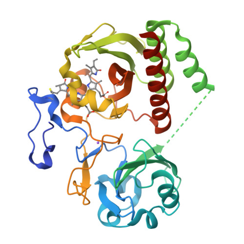 Rcsb Pdb 4cqh Structure Of Infrared Fluorescent Protein Ifp2 0