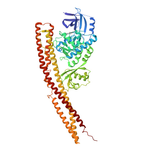 Rcsb Pdb 6cq4 Tbk1 In Complex With Cyclohexyl Analog Of Amlexanox