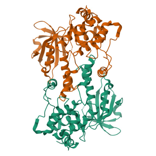 Rcsb Pdb 6cqe Crystal Structure Of Hpk1 Kinase Domain S171a Mutant