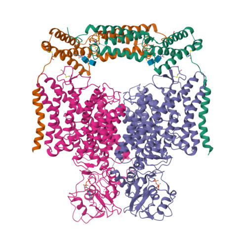 Rcsb Pdb 7cq7 Structure Of The Human Clcn7 Ostm1 Complex With Adp