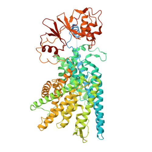 Rcsb Pdb 7cq7 Structure Of The Human Clcn7 Ostm1 Complex With Adp