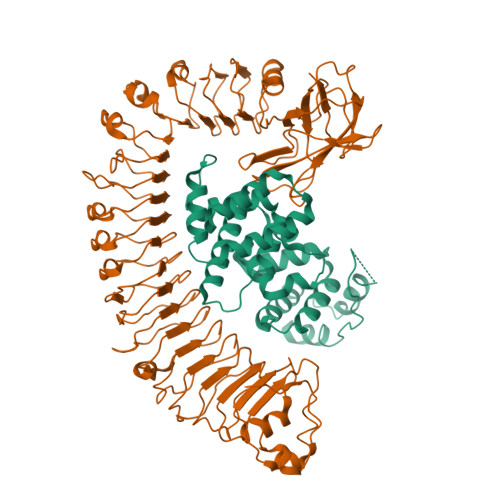 Rcsb Pdb 7crb Cryo Em Structure Of Plant Nlr Rpp1 Lrr Id Domain In Complex With Atr1