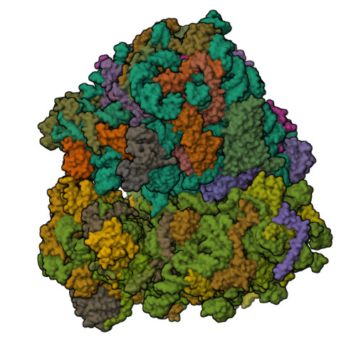 8CRE assembly