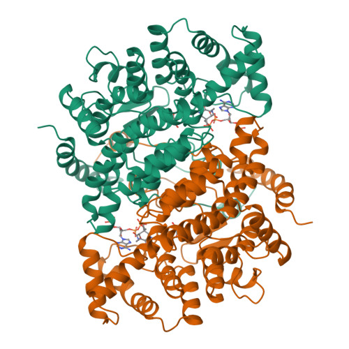 Rcsb Pdb 1css Alpha Fluoro Acid And Alpha Fluoro Amide Analogs Of Acetyl Coa As Inhibitors Of Of Citrate Synthase Effect Of Pka Matching On Binding Affinity And Hydrogen Bond Length