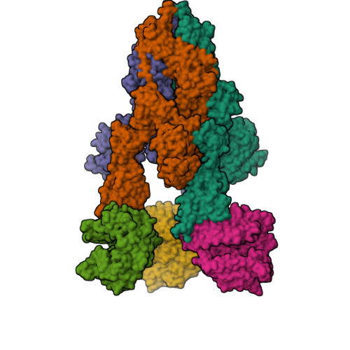 Rcsb Pdb 7ct5 S Protein Of Sars Cov 2 In Complex Bound With T Ace2