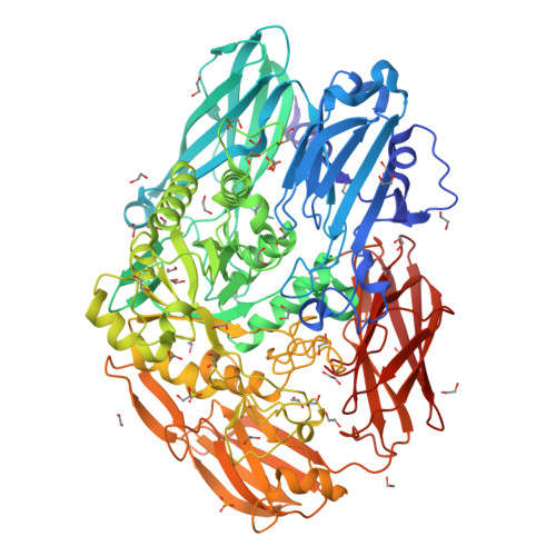 Rcsb Pdb 4cu6 Unravelling The Multiple Functions Of The Architecturally Intricate Streptococcus Pneumoniae Beta Galactosidase Bgaa