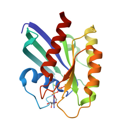 Rcsb Pdb 6cu6 Crystal Structure Of Gmppnp Bound G12r Mutant Of Human Kras4b