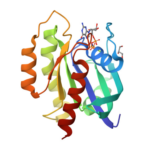 Rcsb Pdb 6cu6 Crystal Structure Of Gmppnp Bound G12r Mutant Of Human Kras4b