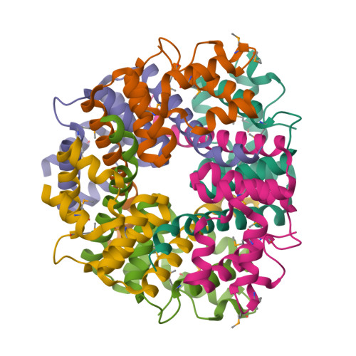 Rcsb Pdb 2cwq Crystal Structure Of Conserved Protein Ttha0727 From Thermus Thermophilus Hb8