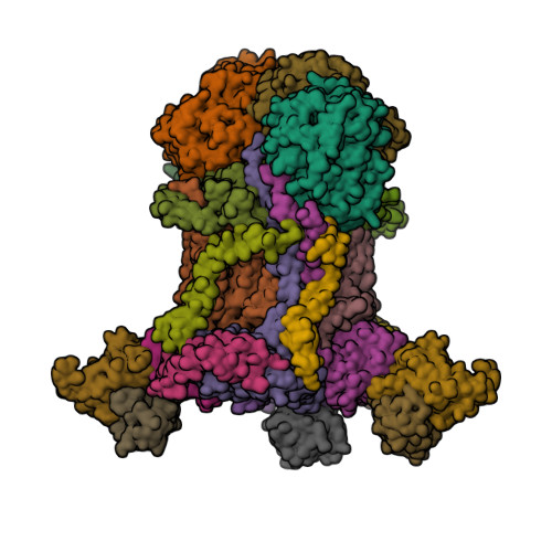 Rcsb Pdb 3cx5 Structure Of Complex Iii With Bound Cytochrome C In Reduced State And Definition Of A Minimal Core Interface For Electron Transfer