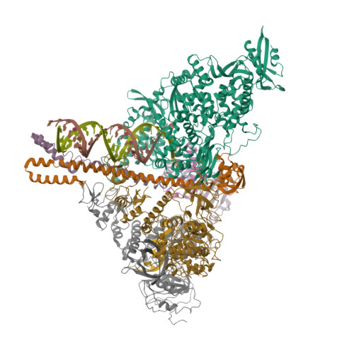 Rcsb Pdb 7cxm Architecture Of A Sars Cov 2 Mini Replication And Transcription Complex