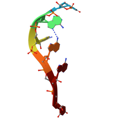 Rcsb Pdb 7cxm Architecture Of A Sars Cov 2 Mini Replication And Transcription Complex