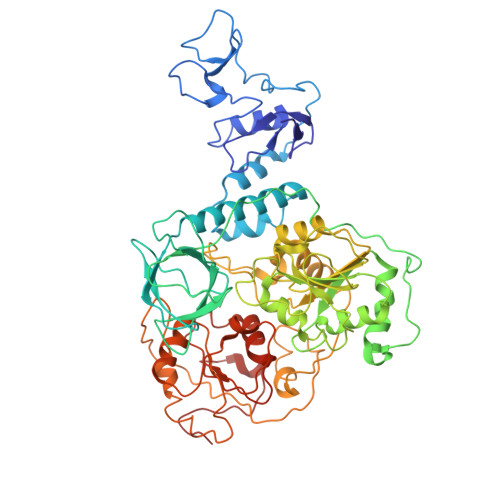 Rcsb Pdb 7cxm Architecture Of A Sars Cov 2 Mini Replication And Transcription Complex