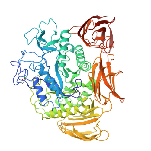 Rcsb Pdb 1cyg Cyclodextrin Glucanotransferase E C 2 4 1 19 Cgtase