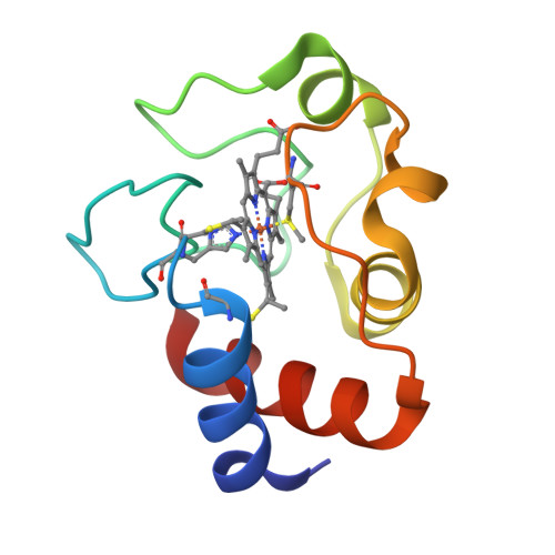 Rcsb Pdb 3cyt Redox Conformation Changes In Refined Tuna Cytochrome C