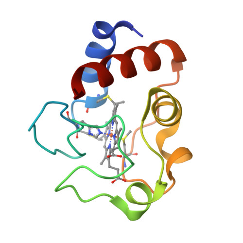 Rcsb Pdb 3cyt Redox Conformation Changes In Refined Tuna Cytochrome C