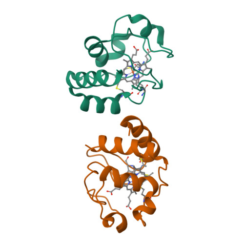 Rcsb Pdb 3cyt Redox Conformation Changes In Refined Tuna Cytochrome C