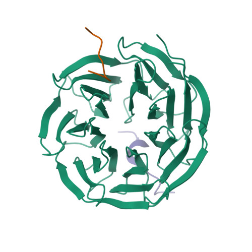KANSL2 logo