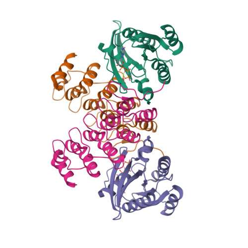 Rcsb Pdb 4cym Complex Of Human Varp Ankrd1 With Rab32 Gppcp