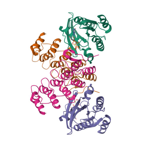 Rcsb Pdb 4cym Complex Of Human Varp Ankrd1 With Rab32 Gppcp