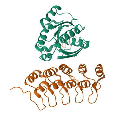 Rcsb Pdb 4cym Complex Of Human Varp Ankrd1 With Rab32 Gppcp