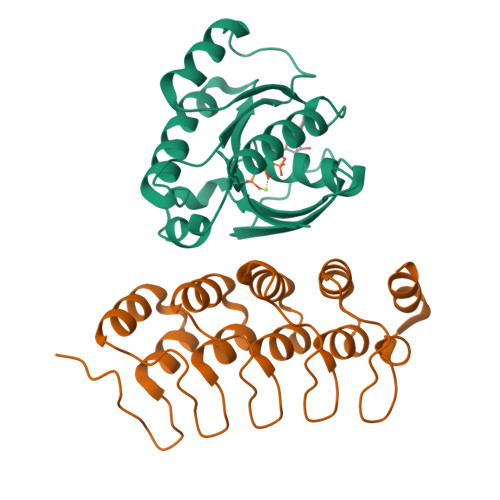 Rcsb Pdb 4cym Complex Of Human Varp Ankrd1 With Rab32 Gppcp