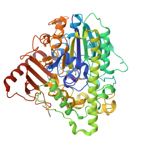 Rcsb Pdb 4cys G6 Mutant Of Pas Arylsulfatase From Pseudomonas Aeruginosa In Complex With Phenylphosphonic Acid