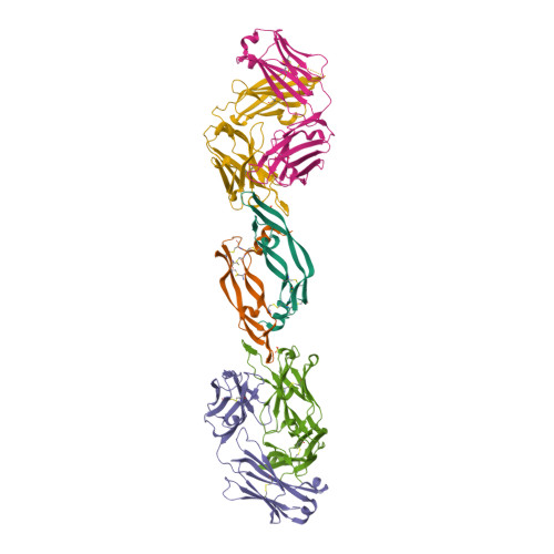 Ranibizumab structure rendering