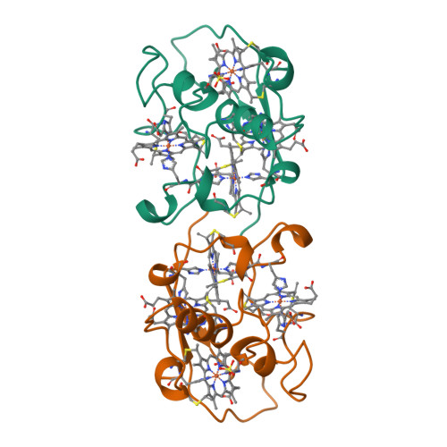 Rcsb Pdb 1czj Cytochrome C Of Class Iii Ambler 26 Kd