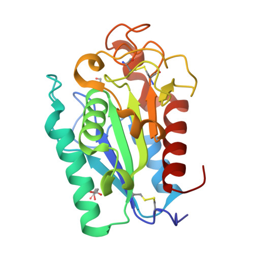 Rcsb Pdb 2czq A Novel Cutinase Like Protein From Cryptococcus Sp