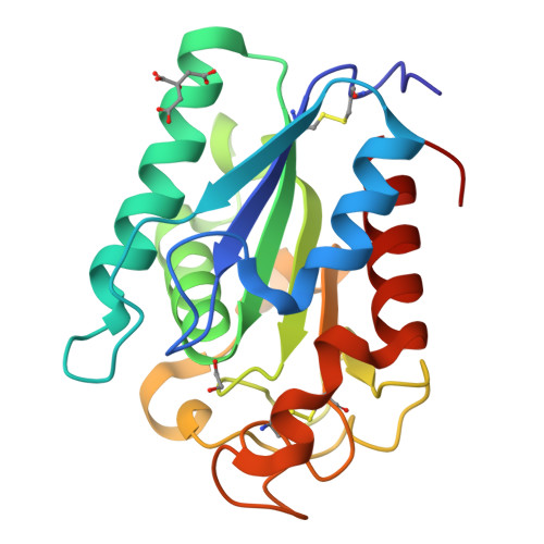 Rcsb Pdb 2czq A Novel Cutinase Like Protein From Cryptococcus Sp