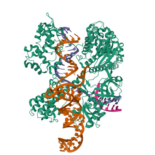 5CZZ assembly