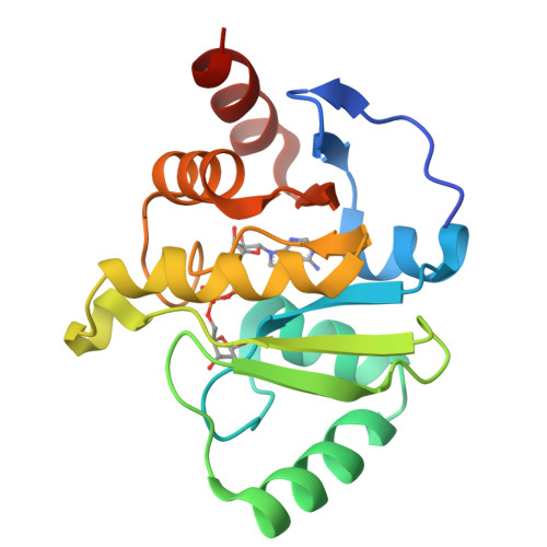 Rcsb Pdb 7cz4 Structure Of Sars Cov 2 Macro Domain In Complex With Adp Ribose