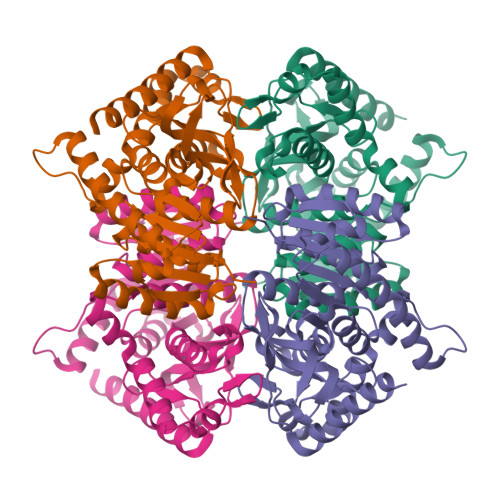 Protein Data Bank: 3D0O
